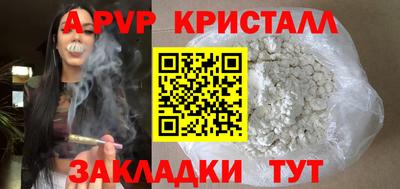 стафф Гай