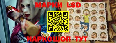стафф Гай