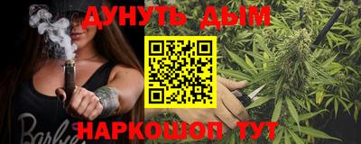 стафф Гай
