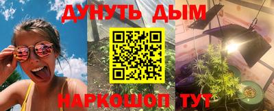 стафф Гай